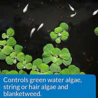 Thumbnail for API POND ALGAEFIX Algae Control 32-Ounce Bottle, FISHAQUARI (169G)