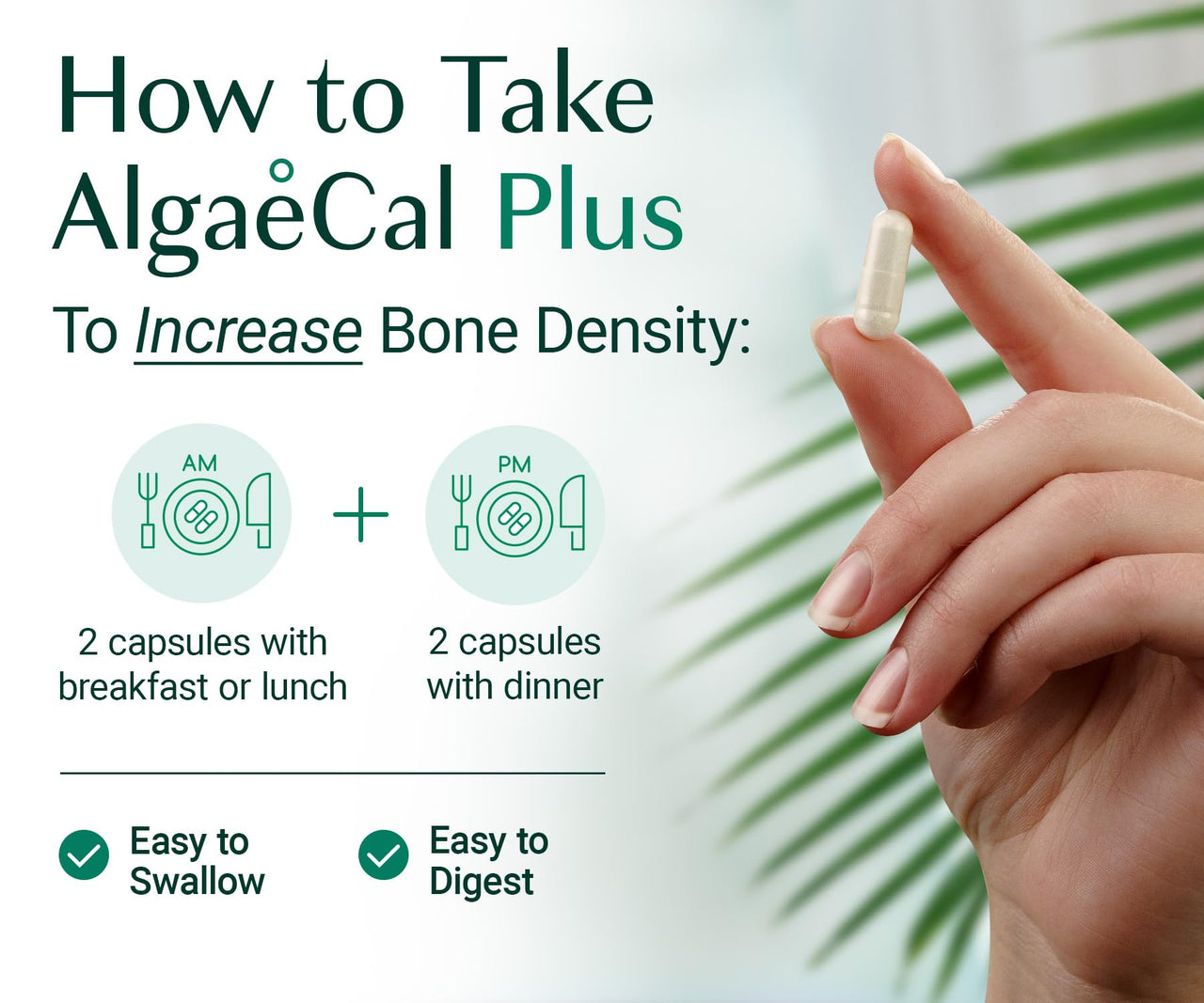 ALGAECAL Calcium, Vitamin D3 & Collagen Bundle – Hydrolyzed Collagen with Clinically-Supported Verisol, Fortibone & Fortigel, Plus Calcium, Vitamin ADEK, & Trace Minerals for Bone Health & Anti-Aging