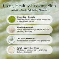 Thumbnail for Arencia Korean Rice Mochi Face Cleanser - Face Wash, Gentle Scrub All in One for Deep Cleansing, Moisturizing, Pore Minimizing, Acne-Prone Skin, Removing Blackhead with Rice Water & Green Tea