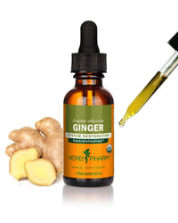 Thumbnail for Herb Pharm Certified Organic Ginger Liquid Extract for Digestive Support - 1 Ounce