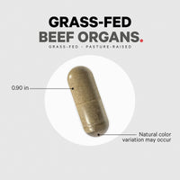 Thumbnail for Codeage Grass Fed Beef Organs Supplement – Glandulars Supplements - Freeze Dried, Non-Defatted, Desiccated Liver, Heart, Kidney, Pancreas & Spleen Bovine Pills – Beef Vitamins - Non-GMO -180 Capsules
