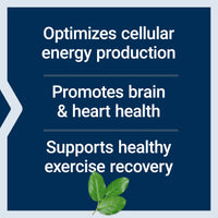 Thumbnail for Life Extension Optimized Carnitine, Three Forms of L-carnitine, Promotes Heart & Brain Health, Gluten Free, Non-GMO, Vegetarian, 60 Capsules