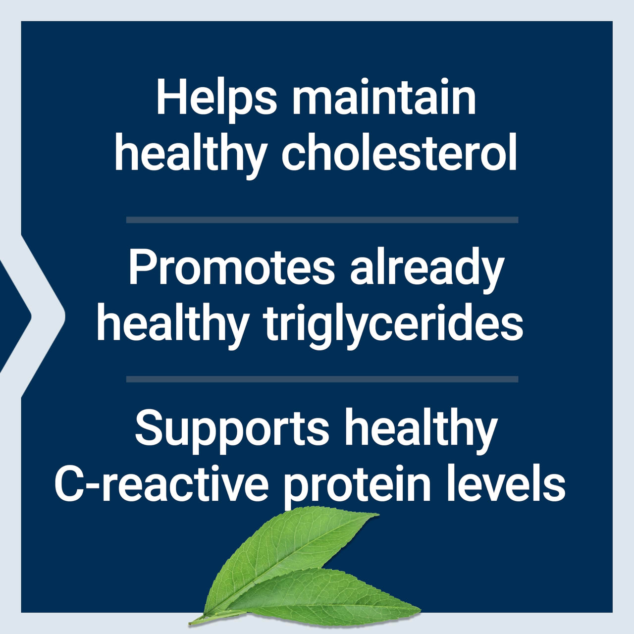 Life Extension Provinal Purified Omega-7, palmitoleic Acid derived from Highly Concentrated Marine Oil, Cholesterol, triglycerides & Heart Health Support, Gluten-Free, Non-GMO, 30 softgels