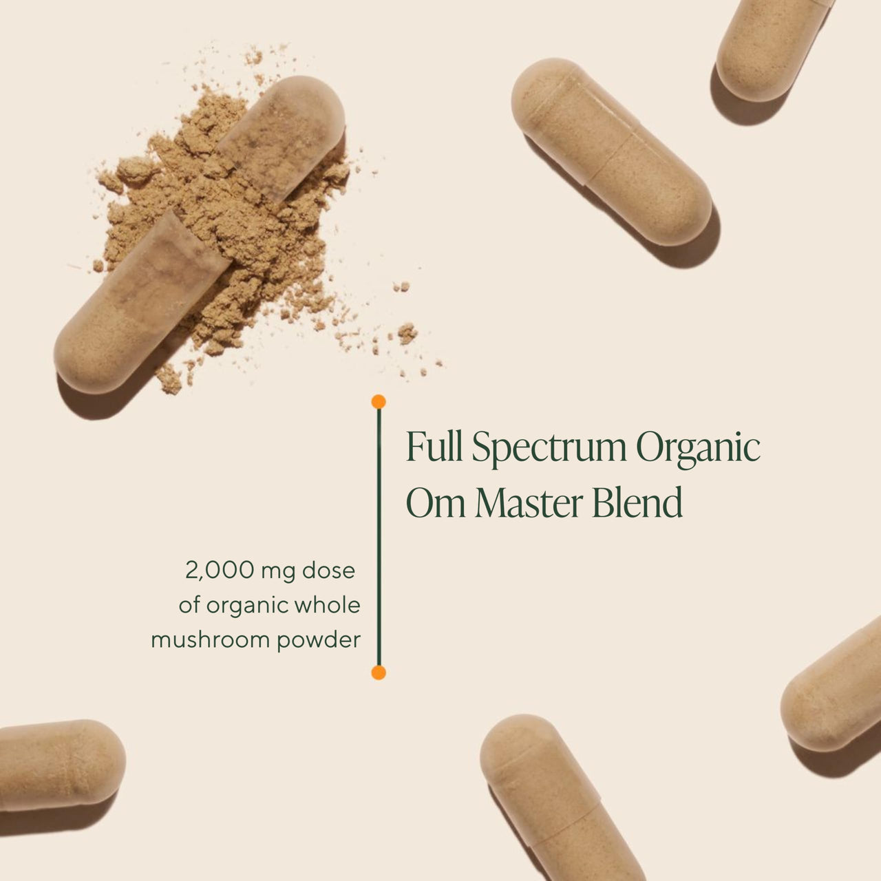 Om Master Blend Mushroom Capsules - Organic Mushroom Supplement with 10 Mushrooms and Ashwagandha â€“ Supports Immunity, Gut Health & Stress Relief, 168 Count (56 Servings)