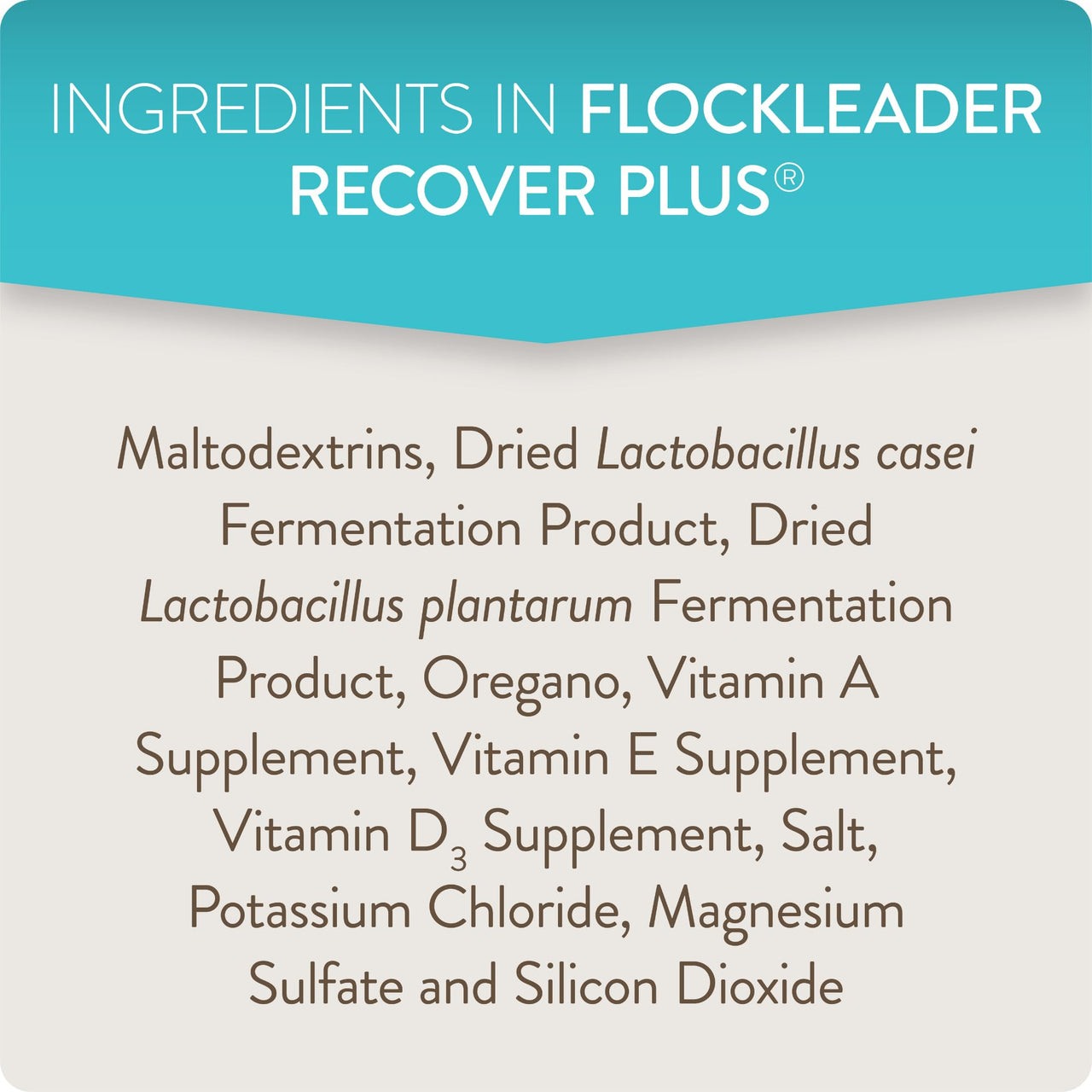 FlockLeader Recover Plus Moderate Stress Probiotic Water Supplement for Chickens with Electrolytes & Oregano, 8 oz