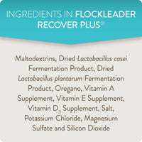 Thumbnail for FlockLeader Recover Plus Moderate Stress Probiotic Water Supplement for Chickens with Electrolytes & Oregano, 8 oz