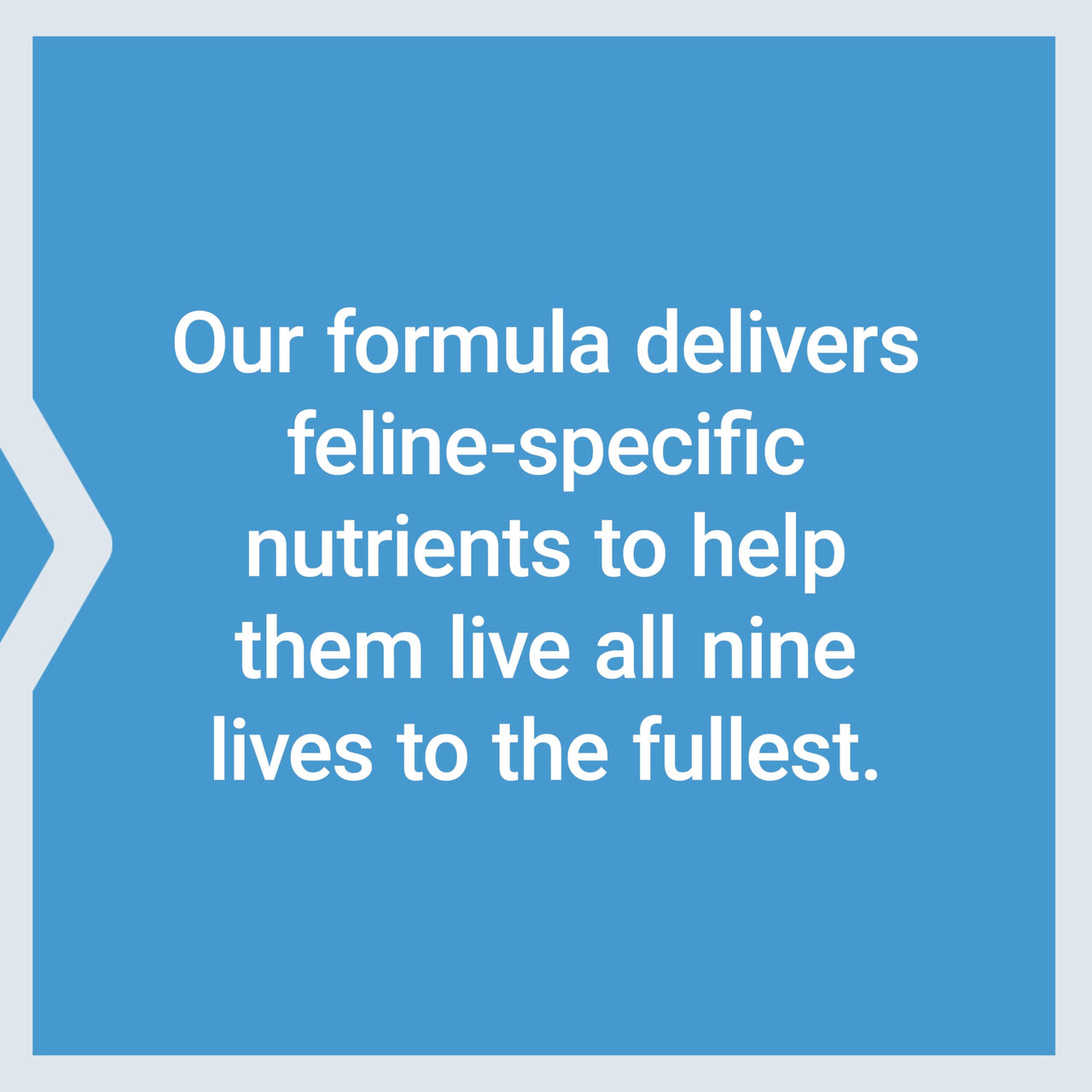 Life Extension Cat Mix, cat Food Supplements, Heart Health, probiotics, L-arginine, Taurine, B12, folic Acid, Vitamin C, Vitamin E, Rosemary, Nutrient Absorption, Gluten-Free, Non-GMO, 85 Servings