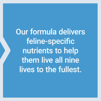 Thumbnail for Life Extension Cat Mix, cat Food Supplements, Heart Health, probiotics, L-arginine, Taurine, B12, folic Acid, Vitamin C, Vitamin E, Rosemary, Nutrient Absorption, Gluten-Free, Non-GMO, 85 Servings