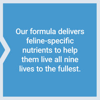 Thumbnail for Life Extension Cat Mix, cat Food Supplements, Heart Health, probiotics, L-arginine, Taurine, B12, folic Acid, Vitamin C, Vitamin E, Rosemary, Nutrient Absorption, Gluten-Free, Non-GMO, 85 Servings