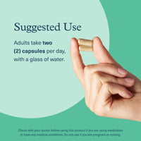 Thumbnail for Youtheory Ashwagandha + GABA - Adaptogenic Blend with Organic KSM-66 & Ginger - Aids Stress Relief & Mood* - Supports Energy Levels* - 60 Vegetarian Capsules (30-Day Supply)*