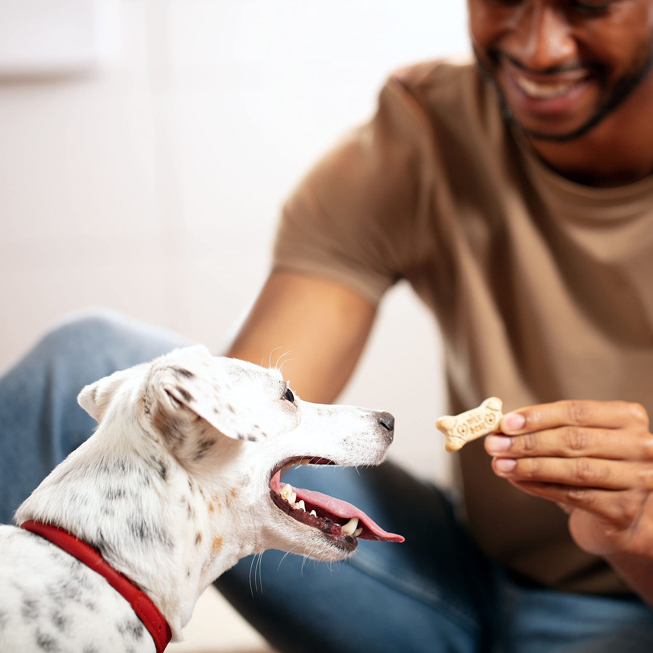 Milk-Bone Dog Treats for Medium Dogs, 24 Ounce | Pack of 2 | Crunchy | Helps Clean Teeth