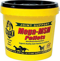 Thumbnail for RICHDEL MegaMSM Pellets for Horses, 5.6 Pounds