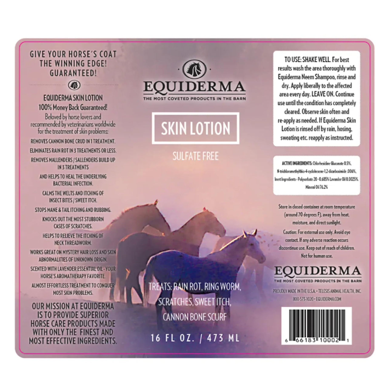 EQUIDERMA Horse Skin Lotion â€“ 16 oz | All-in-One Equine Skin Care for Cannon Bone Scurf, Mane & Tail Itching, Midline Irritation, Dry Patches & Coat Health Support