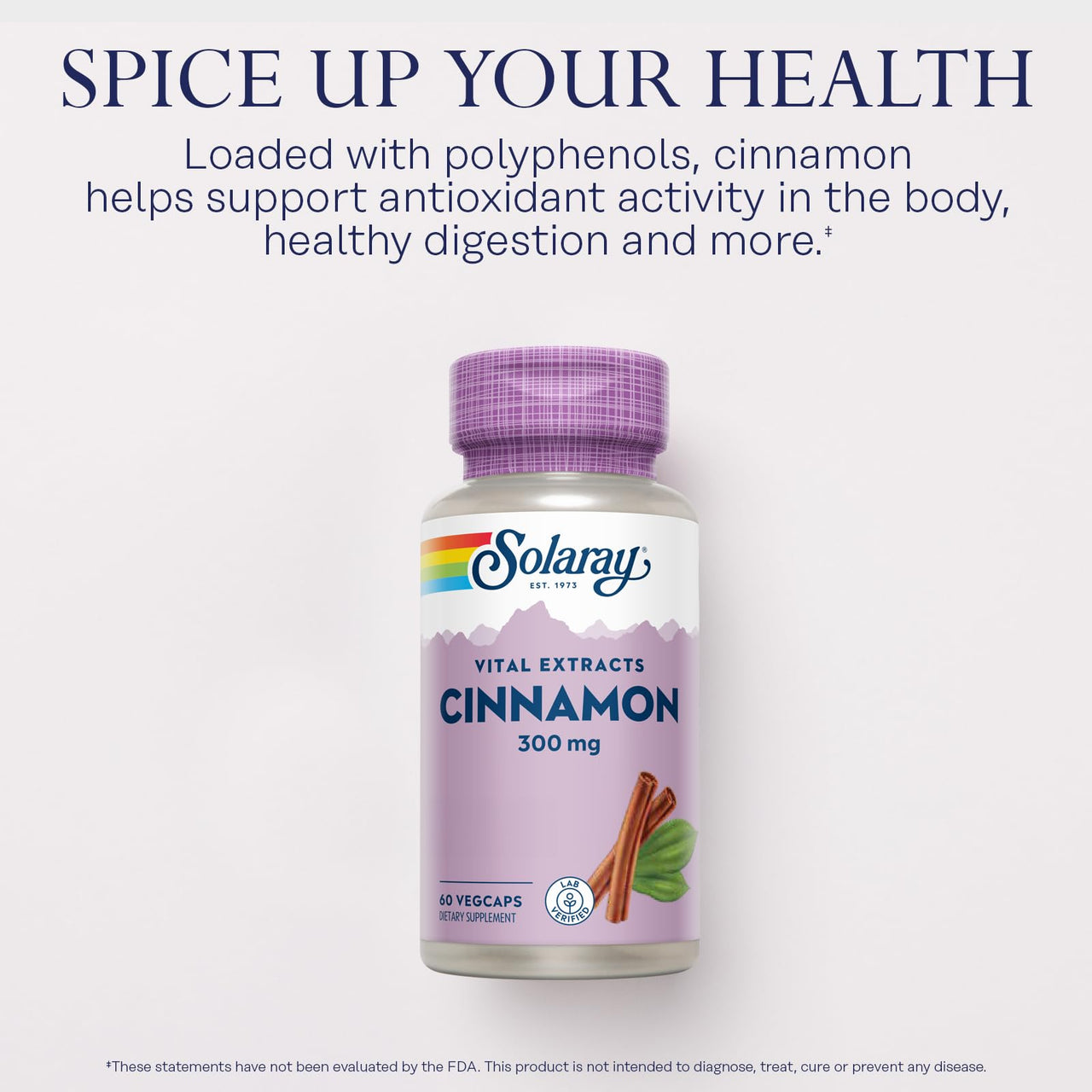 SOLARAY Cinnamon Extract 300mg - Cinnamon Supplements for Balance - Herbal Support with 24mg Flavonoids - Lab Verified, Gluten Free, 60-Day Guarantee - 60 Servings, 60 VegCaps