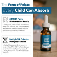 Thumbnail for Organic Kids L-Methylfolate + Methyl B12 Cofactor - MTHFR Sublingual Form - 5-MTHF, Superior Form of Folate - Adjustable Dosing for All Ages - Mood, Behavior, Cognition - Organic Berry Flavor, 1 Fl oz
