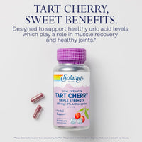 Thumbnail for SOLARAY Triple Strength Tart Cherry Extract with 3% Anthocyanins - Tart Cherry Capsules for Healthy Uric Acid Levels and Muscle Recovery Support, Vegan, 60-Day Guarantee, 45 Servings, 90 VegCaps