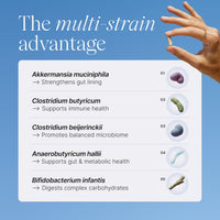 Thumbnail for Pendulum Metabolic Daily - Multi-Strain Probiotic with Akkermansia muciniphila to Support Metabolism and Sustain Energy Levels - for Women and Men - 30 Capsules (1 Pack)