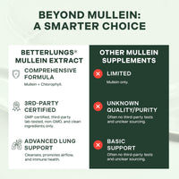 Thumbnail for Betterbrand Mullein Drops for Lung Detox - Mullein Leaf Tincture with Chlorophyll - Helps Support Respiratory Health, Alcohol-Free, 1 Month Supply - 60ml