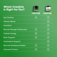 Thumbnail for Optimum Nutrition Micronized Creatine Monohydrate Powder, Unflavored, 60 Servings, 300 Grams (Packaging May Vary)