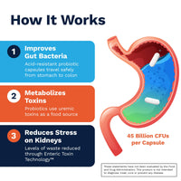Thumbnail for Renadyl Kidney Probiotic Supplement | Urea, Creatinine, & Uric Acid Support | 45 Billion CFUs | Clinically Tested, Non-GMO, & Made in USA, 180 Capsules (3 Bottles, 3 Month Supply)