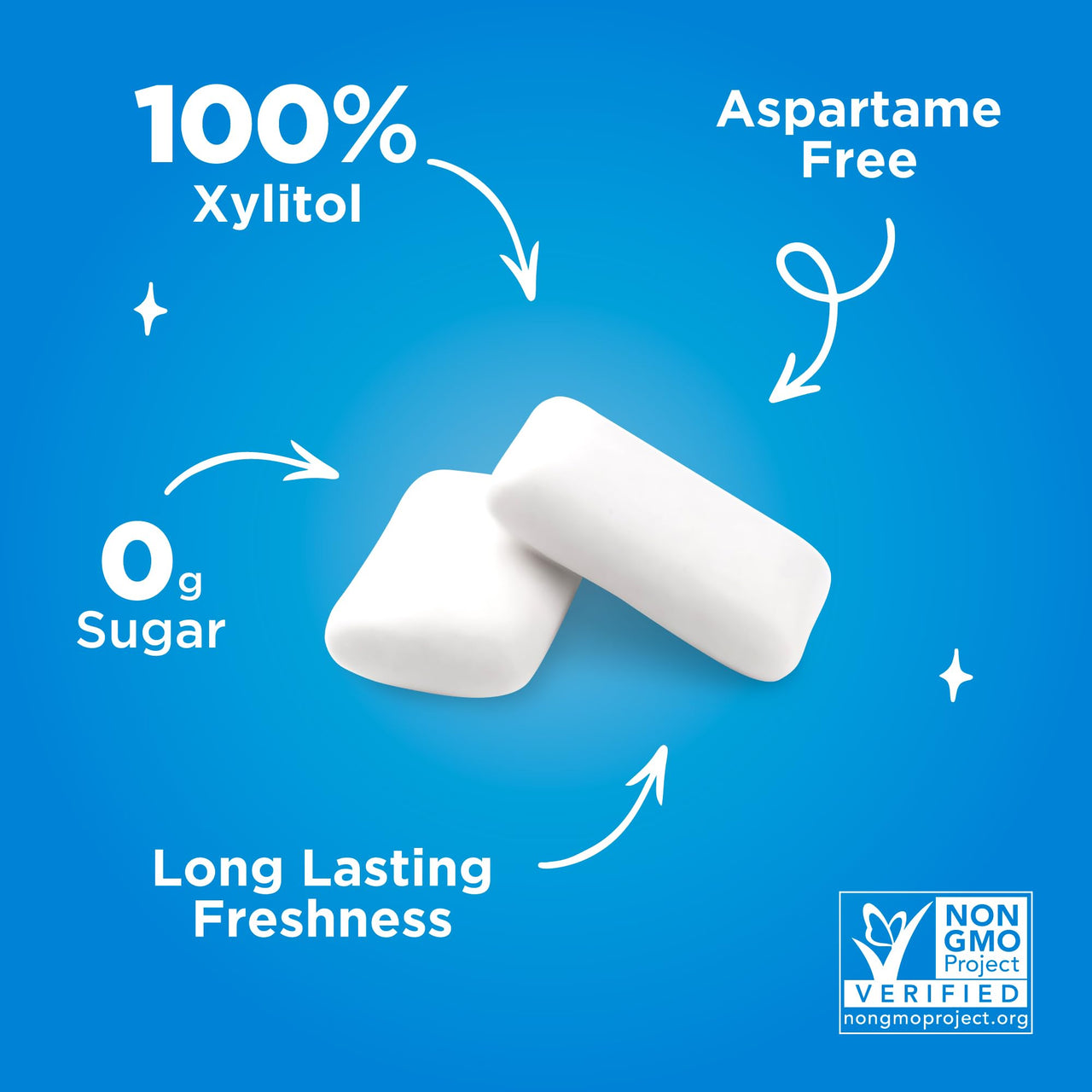 PUR Gum | Aspartame Free Chewing Gum | 100% Xylitol | Natural Peppermint Flavored Gum, 9 Pieces (Pack of 12)