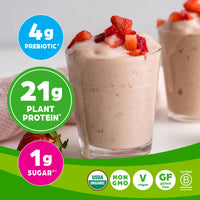 Thumbnail for Orgain Organic Vegan Protein Powder, Strawberries & Cream - 21g of Plant Based Protein, Low Net Carbs, Gluten/ Lactose Free, No Sugar Added, Soy Free, Non-GMO, 2.03 Lb