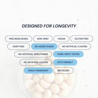 Thumbnail for Blueprint Bryan Johnson Raw Macadamia Nuts - No Palm Oil - Keto and Low Carb Snack - No Added Sugar, Vegan, Non GMO, Keto and Paleo Friendly (4 Ounces)