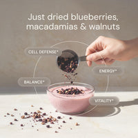 Thumbnail for Blueprint Bryan Johnson Blueberry Nut Mix - Real Blueberries, Roasted Macadamia Nuts and Walnuts - No Additives or Added Sugars - Keto and Paleo Friendly - 170mg Polyphenols (30 Servings)