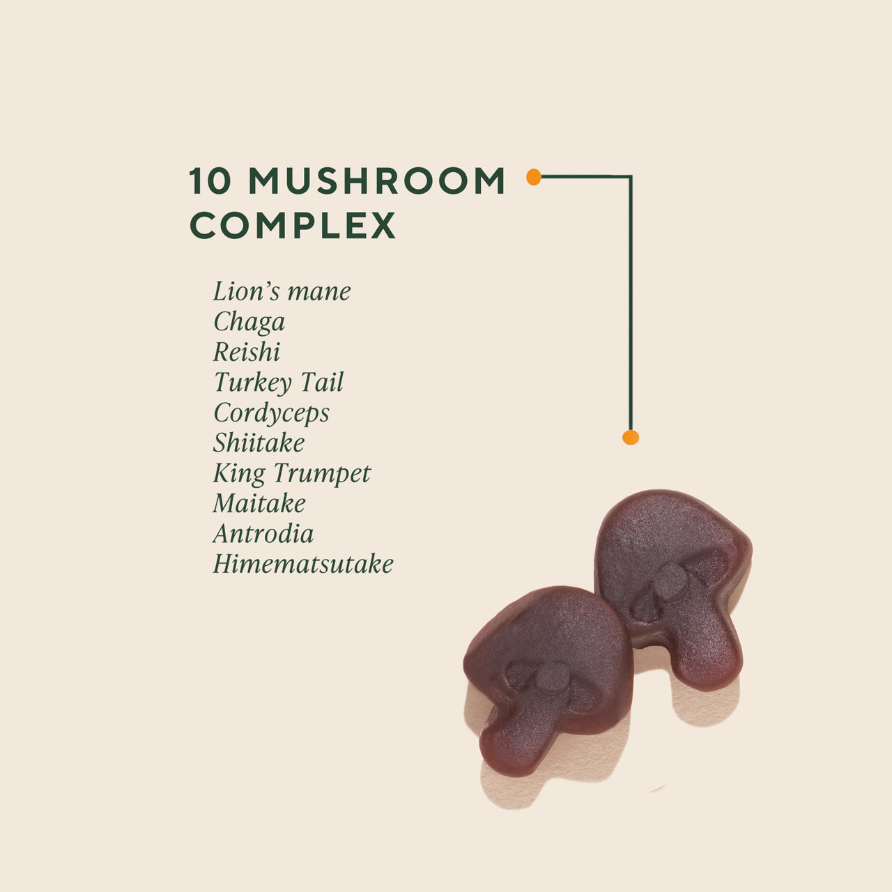 OM MUSHROOM SUPERFOOD Master Blend Mushroom Gummies â€“ Organic 10-Mushroom Complex with Ashwagandha â€“ Supports Immunity, Gut Health & Stress Relief â€“ Mixed Berry Flavor â€“ 28 Servings, 56 Count.