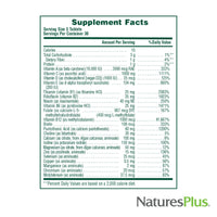 Thumbnail for NaturesPlus Source of Life No Iron - 90 Tablets - Multivitamin & Mineral Supplement with Vitamin D3 - Supports Natural Energy & Well-Being - Gluten Free, Vegetarian - 30 Servings