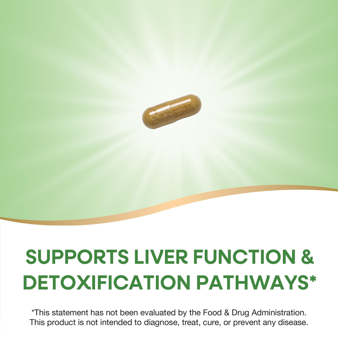 Nature's Way Milk Thistle, Supports Liver Function & Liver Detox Pathways*, 175 mg Milk Thistle Seed Extract Standardized to 80% Silymarin per Serving, Vegan, 60 Capsules (Packaging May Vary)