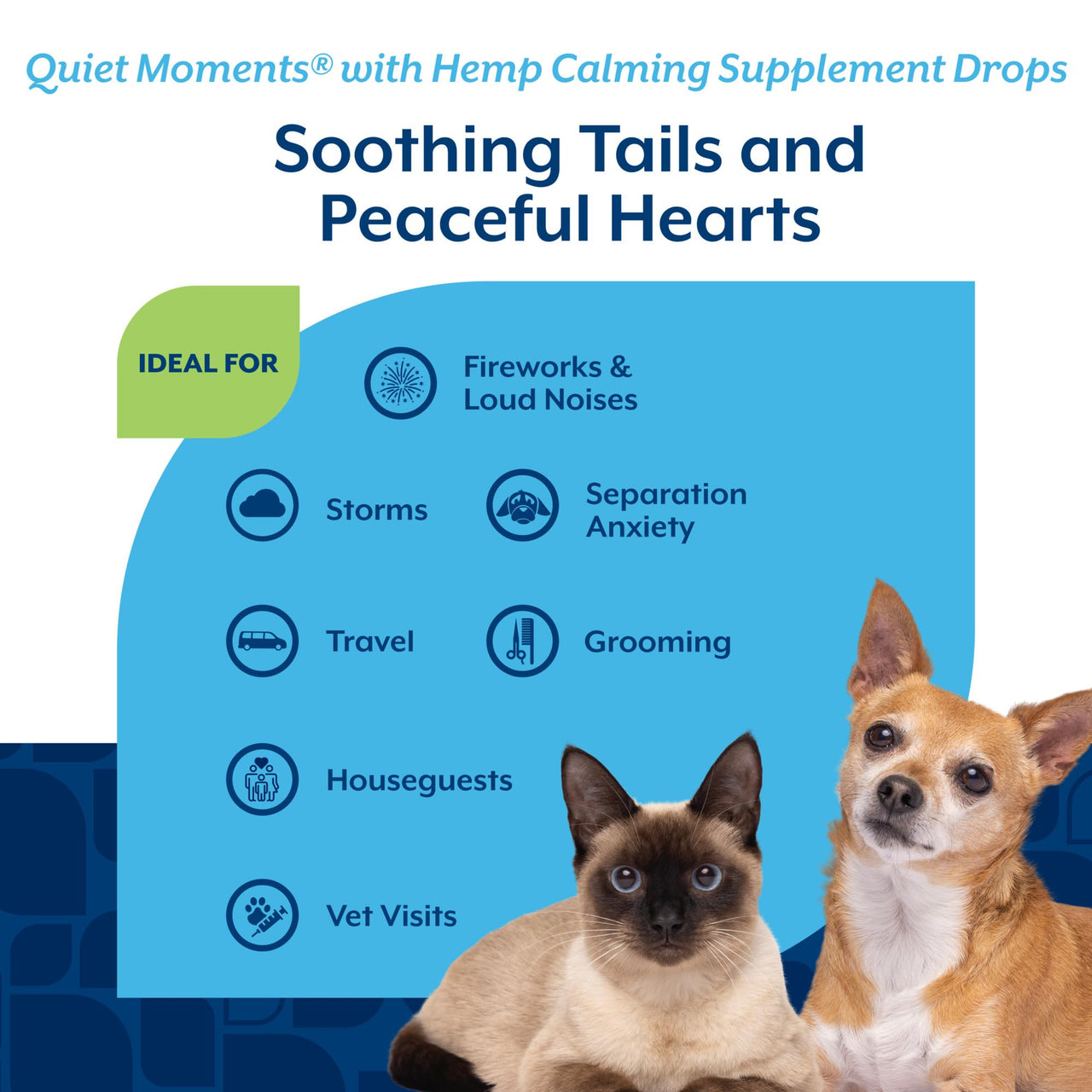 NaturVet – Hemp Quiet Moments Calming Drops – Enhanced with Hemp Seed Oil, L-Tryptophan & Ginger – Helps Reduce Stress & Promote Relaxation – for Dogs & Cats