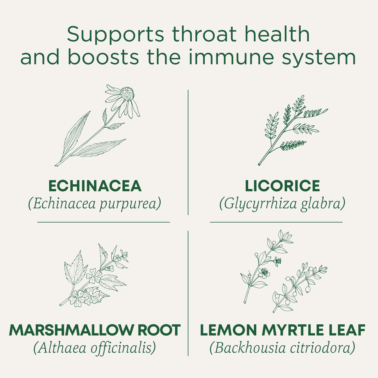 Traditional Medicinals Tea, Organic Throat Coat Lemon Echinacea, Supports Throat Health & Immune Fuction, 16 Tea Bags