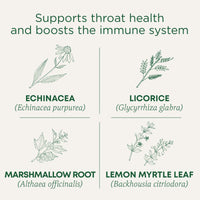 Thumbnail for Traditional Medicinals Tea, Organic Throat Coat Lemon Echinacea, Supports Throat Health & Immune Fuction, 16 Tea Bags