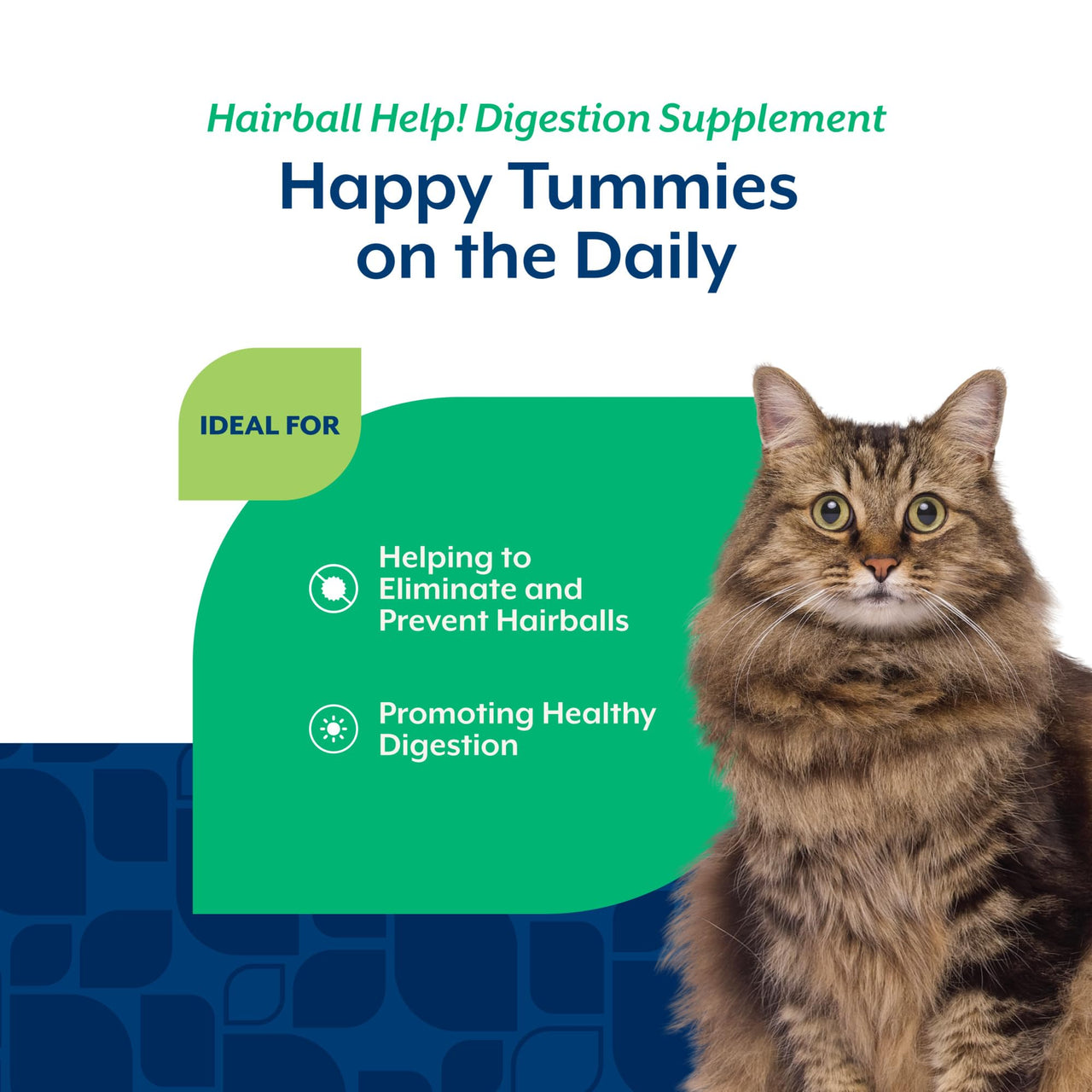 NaturVet – Hairball Aid Supplement for Cats - Plus Pumpkin – Helps Eliminate & Prevent Hairballs – 60 Soft Chews