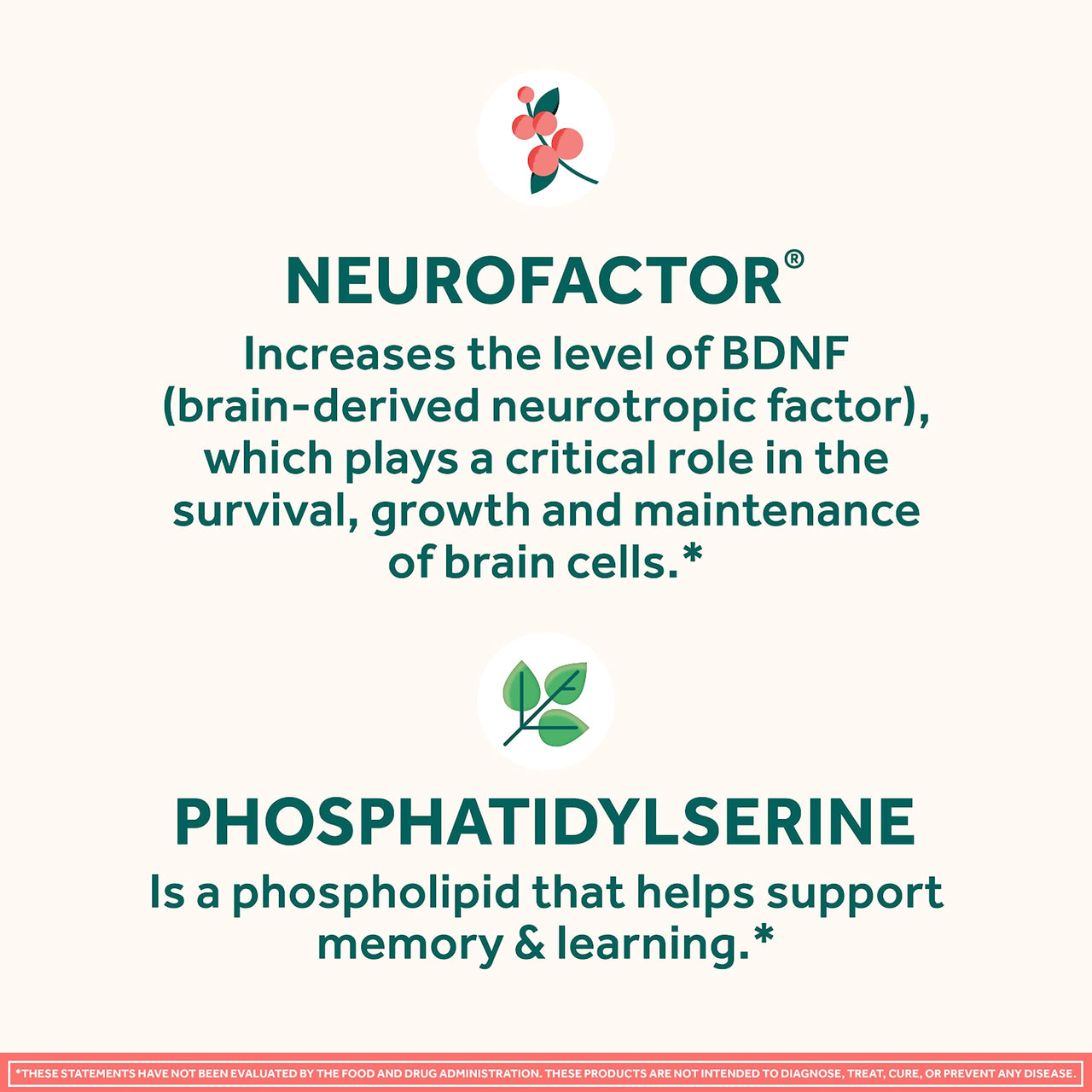 NEURIVA Original Decaffeinated Clinically Tested Nootropic Brain Supplement for Memory, Focus & Concentration, NeuroFactor & Phosphatidylserine, 28ct Capsules