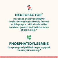 Thumbnail for NEURIVA Original Decaffeinated Clinically Tested Nootropic Brain Supplement for Memory, Focus & Concentration, NeuroFactor & Phosphatidylserine, 28ct Capsules