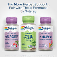 Thumbnail for SOLARAY White Willow Bark Capsules 400 mg for Men & Women - Natural Herbal Supplement, White Willow Herb Caps for Wellness Support, Non GMO, Vegan - 100 Veg Caps
