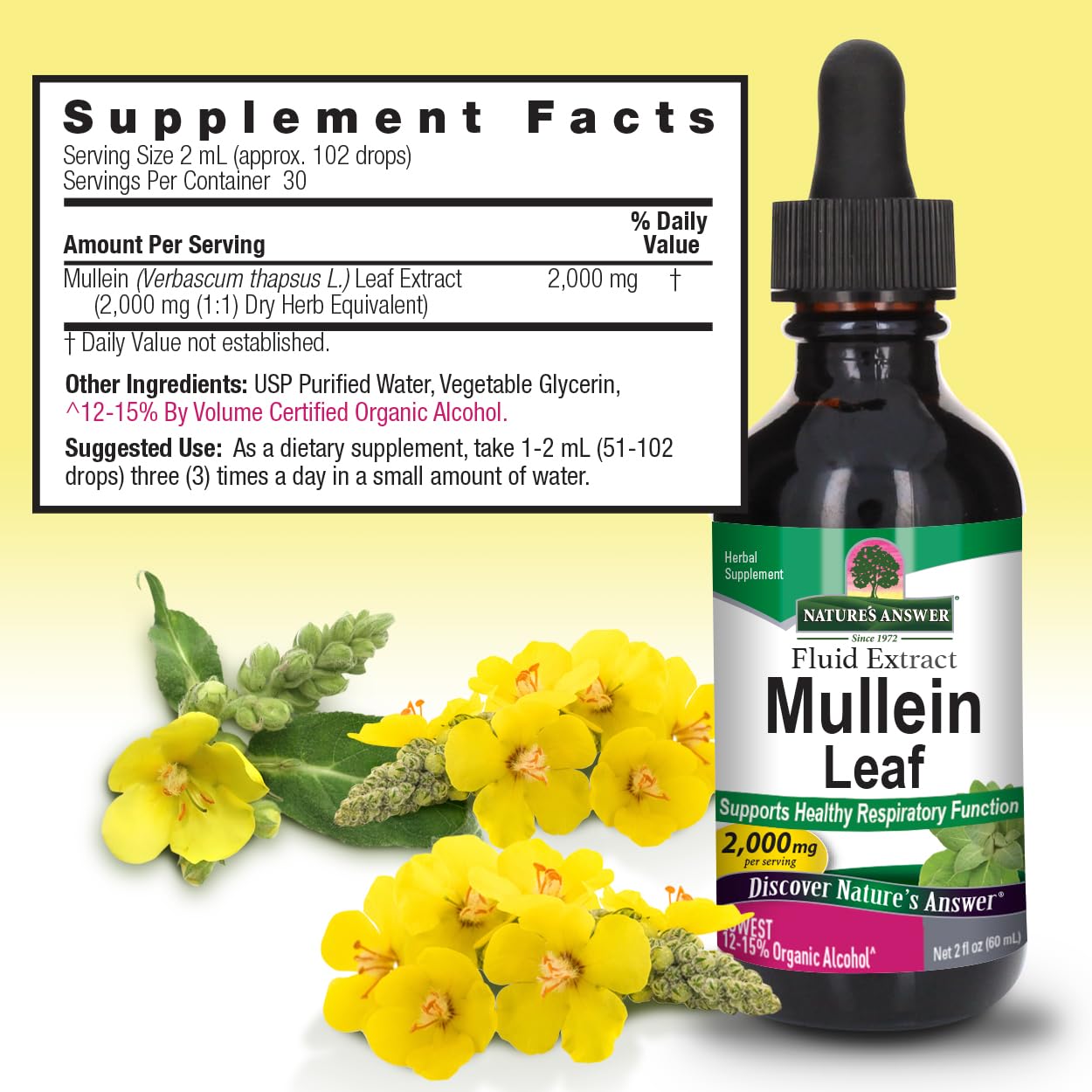 Nature's Answer Mullein Leaf Fluid Extract, 2 fl oz (60 ml)