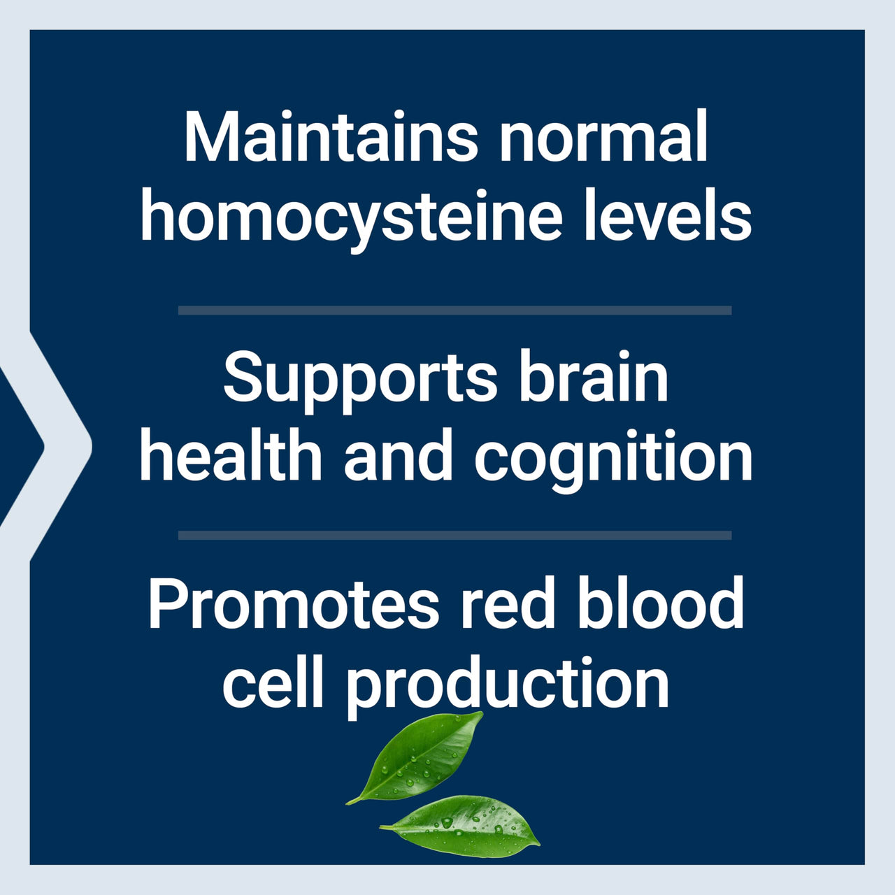 Life Extension Vitamin B12 Methylcobalamin 500mcg - Vitamin B12 Supplement for General Energy and Brain Health - Sugar Free Vegetarian Lozenges Dissolve in Your Mouth - Once Daily - 100 Count