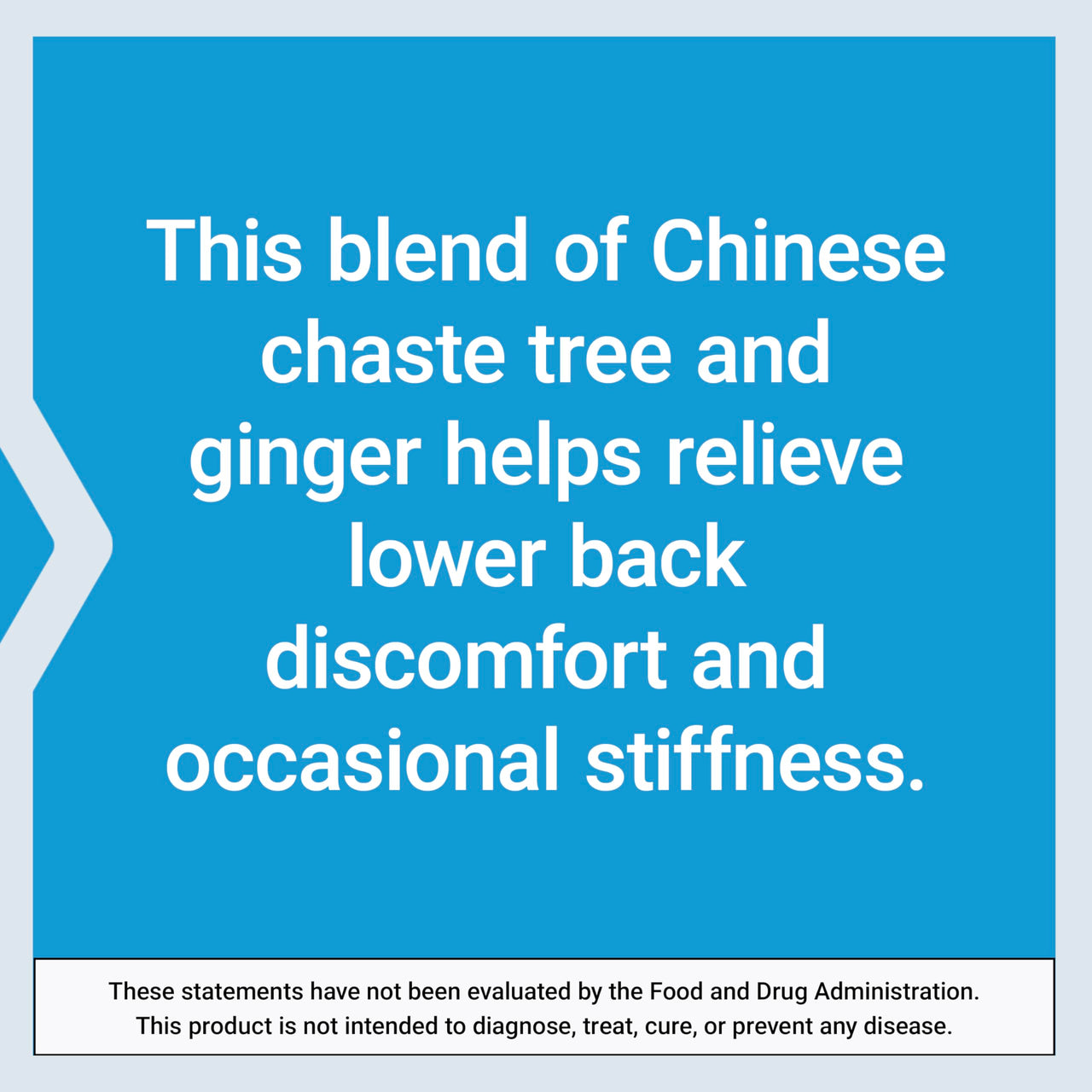Life Extension Lower Back Relief, Chinese Chaste Tree, Ginger Extract, for Lower Back discomfort and Occasional Stiffness, Non-GMO, Gluten Free, Vegetarian, 60 Capsules