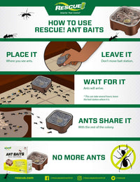 Thumbnail for RESCUE! Ant Baits - 4 Bait Stations