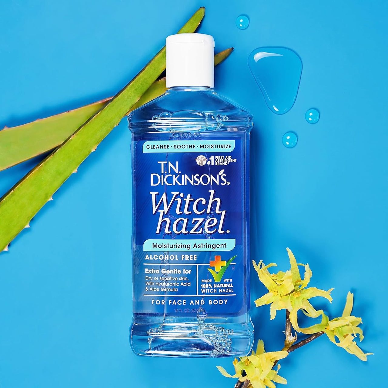 T.N. Dickinson's Witch Hazel Alcohol Free Moisturizing Astringent | 100% Natural Witch Hazel | Calms, Nourishes, Hydrates Skin | for Face & Body | 16 Fl Oz
