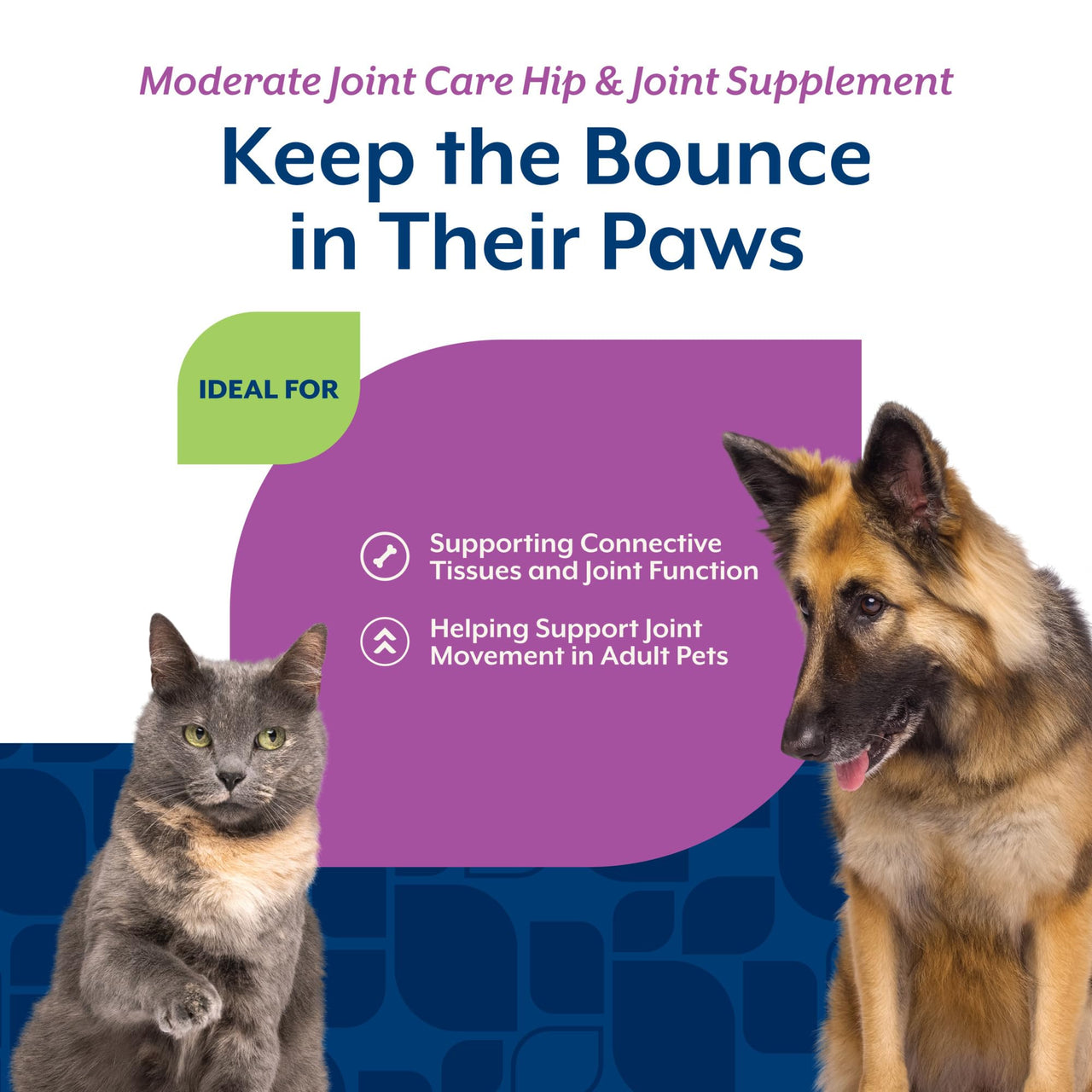 NaturVet Glucosamine DS Plus Level 2 Moderate Care Joint Support Supplement for Dogs and Cats, Chewable Tablets Time Release, Made in The USA, 120 Count
