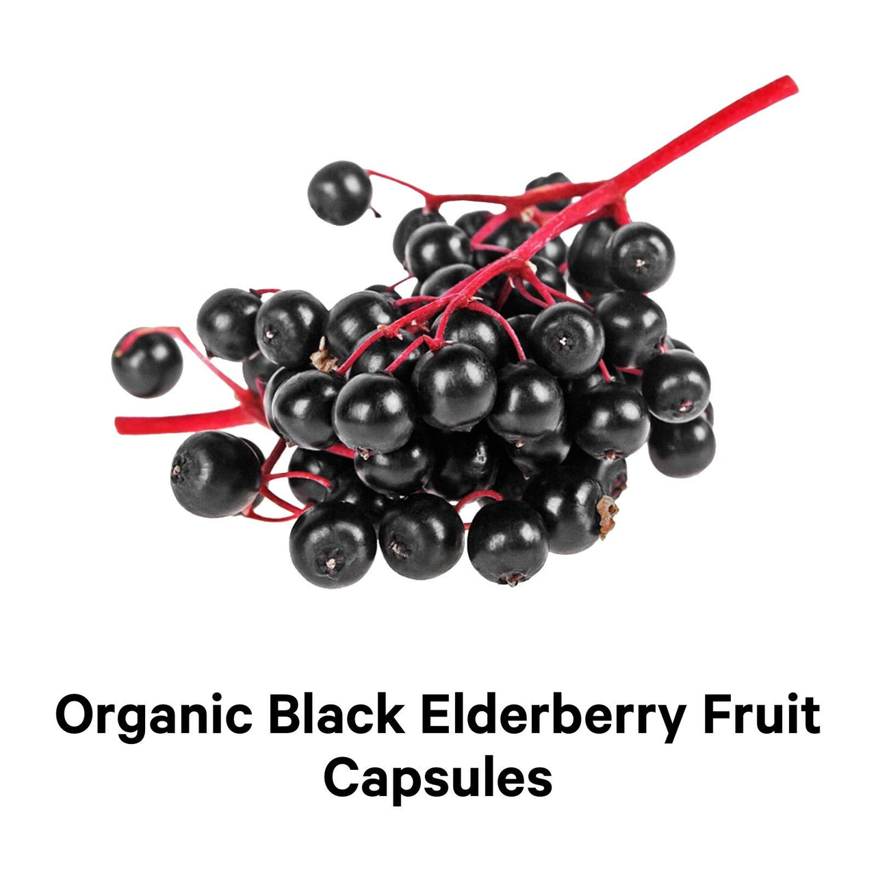 Codeage Organic Black Elderberry Supplement - Vitamin C, D, Zinc - Fermented Black Elderberries Vitamins - Elderberry Fruit Extract Pills Concentrate – Sambucus Berries Flavonoid - Vegan - 2 Pack