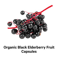 Thumbnail for Codeage Organic Black Elderberry Supplement - Vitamin C, D, Zinc - Fermented Black Elderberries Vitamins - Elderberry Fruit Extract Pills Concentrate – Sambucus Berries Flavonoid - Vegan - 2 Pack