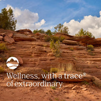 Thumbnail for Trace Minerals Probiotic 55 Billion - High-Potency Probiotic for Small & Large Intestine Support - Age-Related Gut Support - Delayed Release Technology - Gluten-Free - 30 Count (30 Servings)