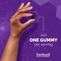 Thumbnail for Sambucol Black Elderberry Gummies for Kids - Elderberry Gummies with Zinc and Vitamin C, Chewable Supplement for Kids, Low Sugar, Berry Flavor - 30 Count