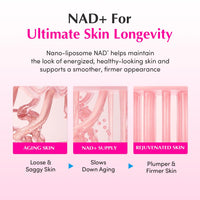 Thumbnail for EQQUALBERRY NAD+ Peptide Boosting Cream – NAD+ 5% & 13 Peptides Anti-Aging Korean Skincare Face & Body Cream | Firming & Lifting Pink Neck Cream for Sagging Skin (1.69 fl.oz / 50ml)