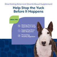 Thumbnail for NaturVet – Coprophagia Stool Eating Deterrent Plus Breath Aid | Deters Dogs from Consuming Stool | Enhanced with Breath Freshener, Enzymes & Probiotics | 60 Chewable Tablets
